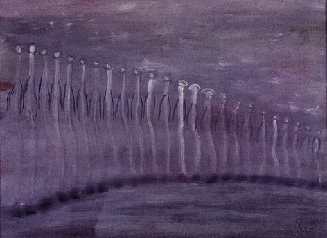 Brouillard 1975